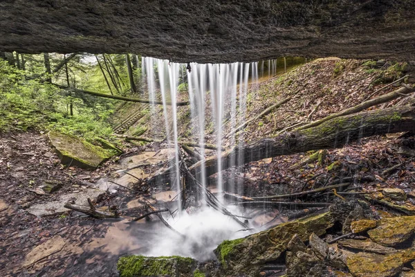 Sub cascada Maidenhair — Fotografie, imagine de stoc