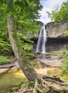 Williamsport akış aşağı düşüyor