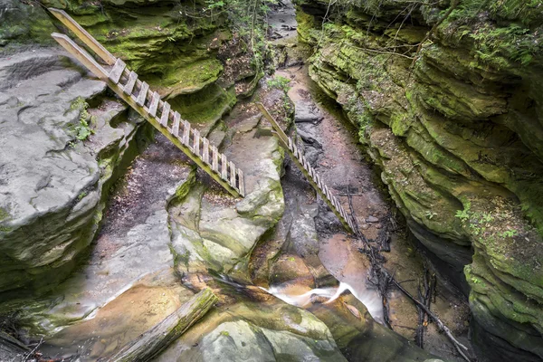 Wanderleiter in Bärenhöhle — Stockfoto