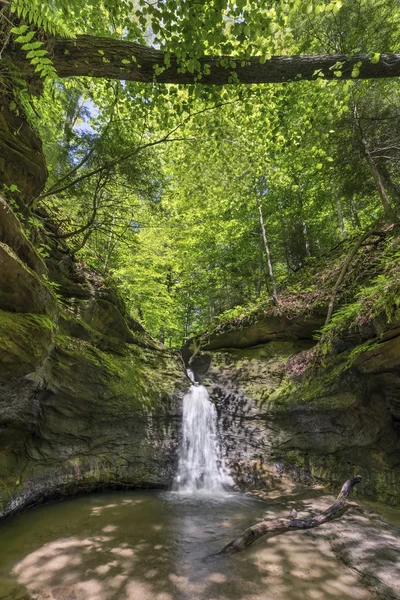 The Punch Bowl at Turkey Run — Stock Photo, Image