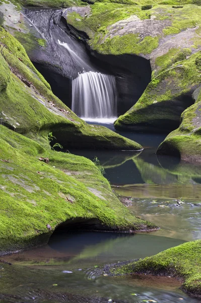 Ylempi Robison Falls — kuvapankkivalokuva