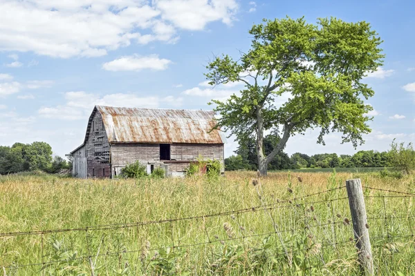 Старые друзья - ржавый старый сарай стоит у вымокшего старого дерева в сельской местности округа Мэдисон, штат Огайо . — стоковое фото