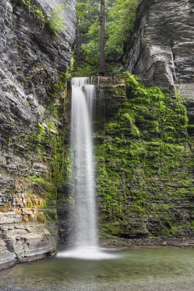 Águia Ciff Falls Mergulho — Fotografia de Stock