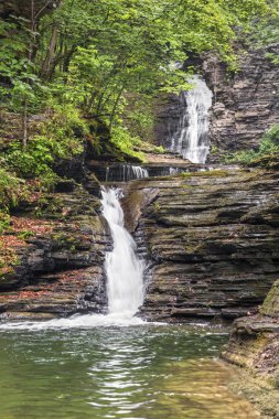 Deckertown Falls Montour Falls, New York
