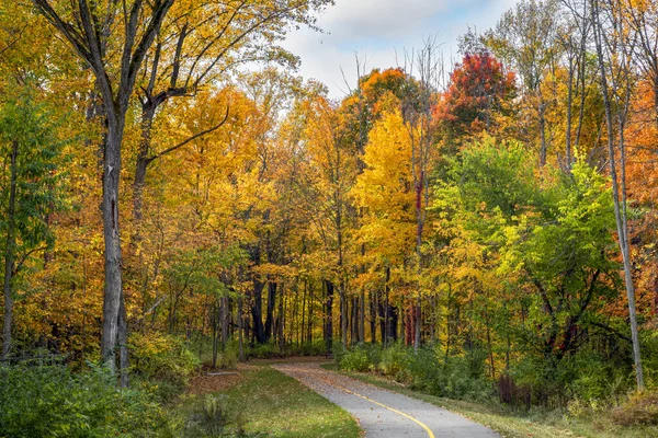 Walking Biking Trail Yellow Line Center Winds Woods Beautiful Fall — Stock Photo, Image