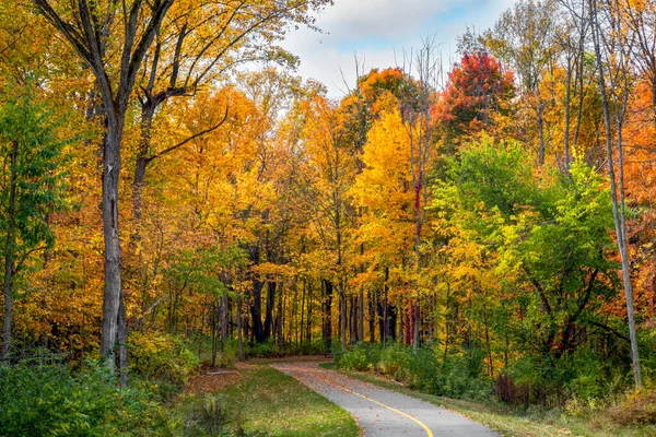 Walking Biking Trail Yellow Line Center Winds Woods Beautiful Fall — Stock Photo, Image