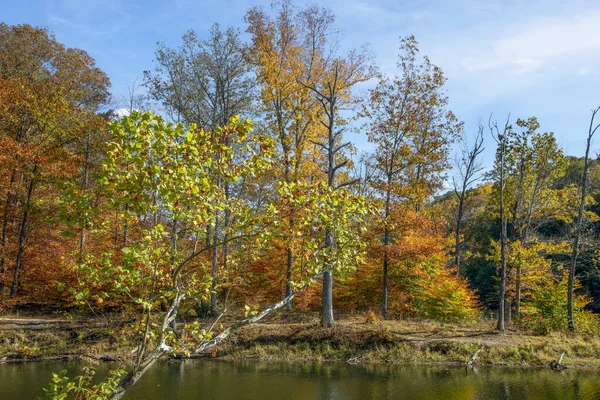 Under a cloudy blue sky, autumn trees with colorful fall foliage line Ogle Lake, a pond in beautiful Brown County State Park in Indiana.