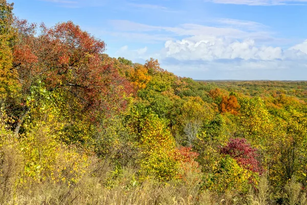 인디애나 남부의 지역에 브라운 카운티 공원의 경치가 아름다운 언덕에는 낙엽이 — 스톡 사진