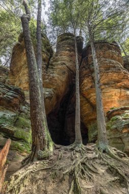 21 At Mağarası, ayrıca Chapel Mağarası olarak da bilinir, Ohio 'daki Hocking Hills State Park ormanında büyük bir kumtaşı mağarası..