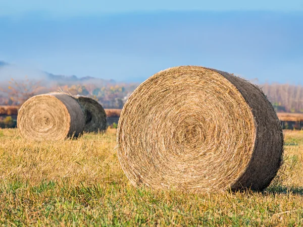 Round Hay Bales — Stock Photo, Image