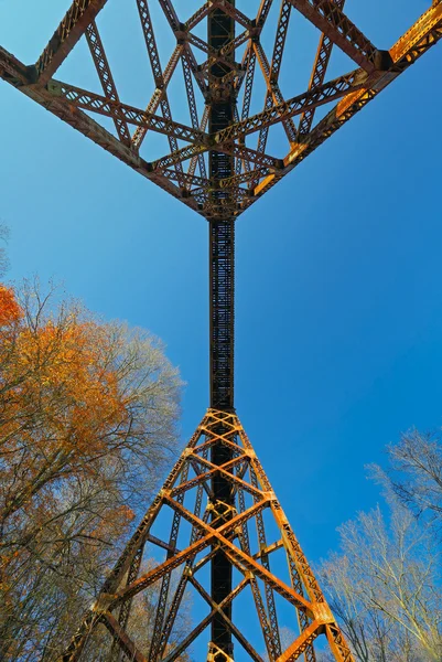 Pod žebříčky — Stock fotografie