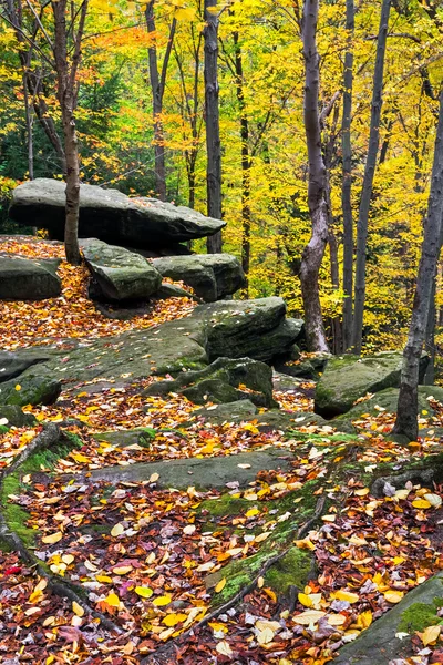 Autumn Boulders — Stock Photo, Image