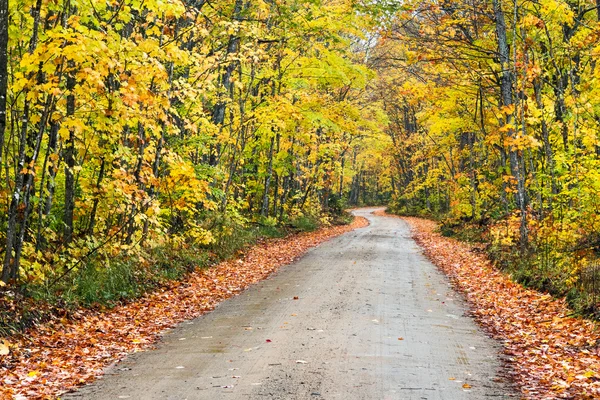 Herfst landweg — Stockfoto