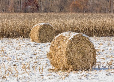 Karlı Cornstalk balya