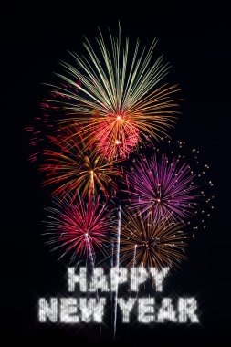 Happy New Year Fireworks clipart