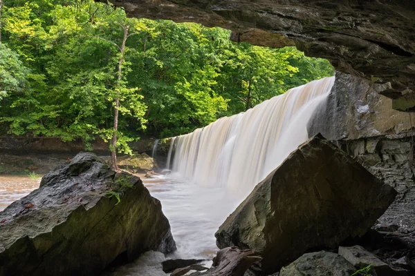 Debajo de Anderson Falls — Foto de Stock