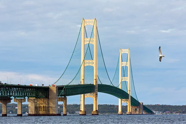 Mighty Mac и Seagull — стоковое фото