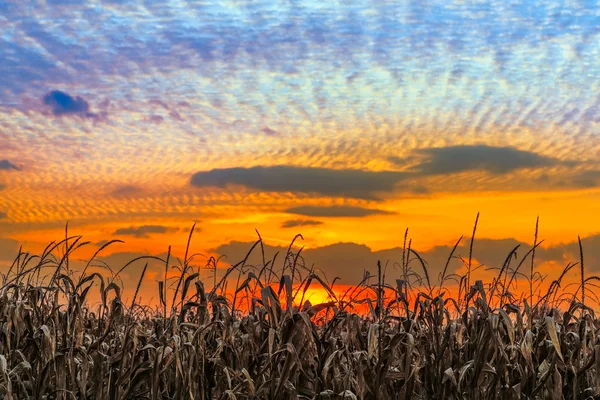 Sundown indiana — Foto Stock