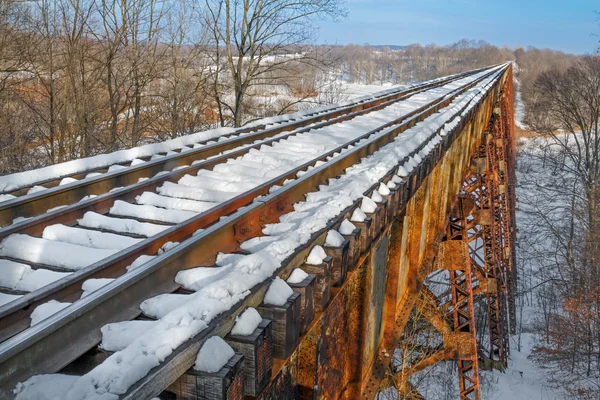 À travers le Tulip Trestle — Photo