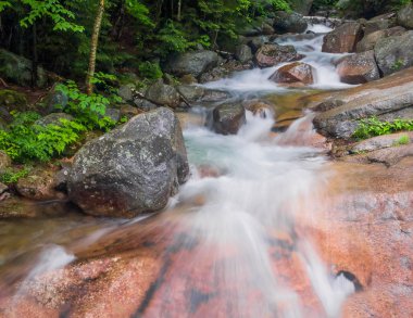 Franconia Notch, Whitewater