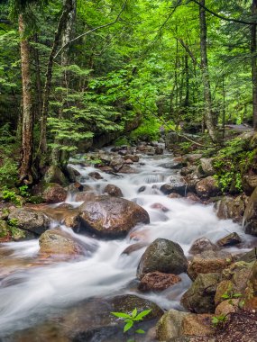 Oluklu Brook