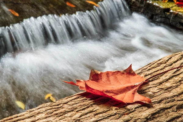 Gevallen — Stockfoto