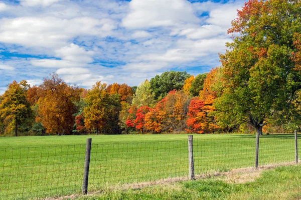 Herbstweide — Stockfoto