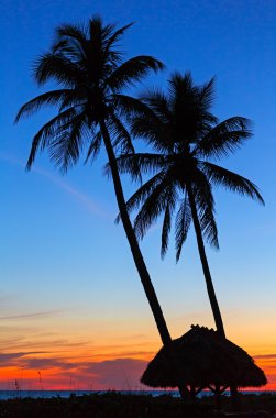 tropik gün batımı