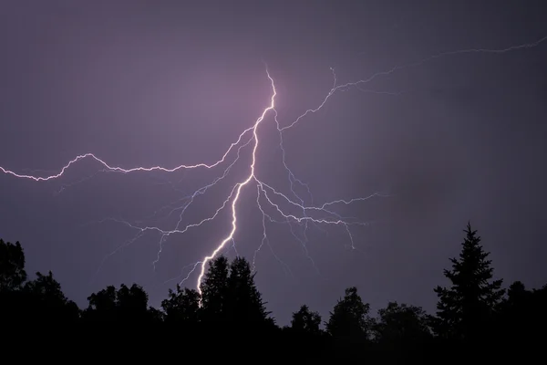 Lightning Sihouettes Trees — Stock Photo, Image