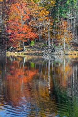 Kahverengi ilçe sonbahar yansımalar