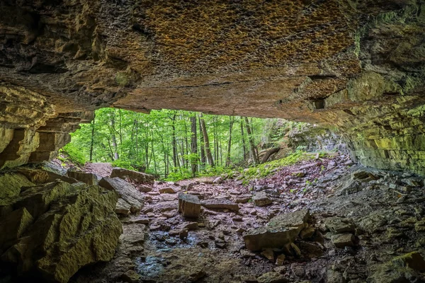 Кинутих залізничний тунель — стокове фото