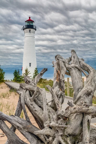 Crisp Point Driftwood — Stock Photo, Image