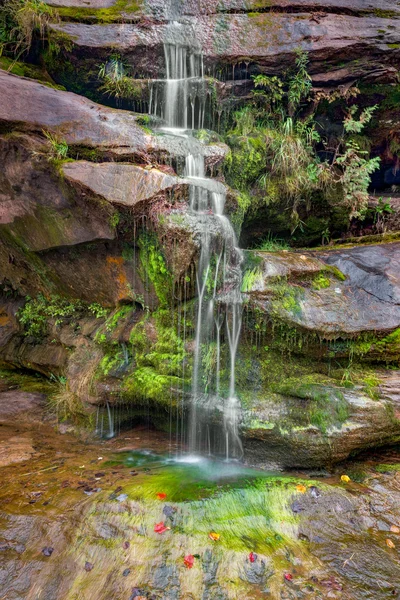 Weerspiegeld pracht herfst — Stockfoto