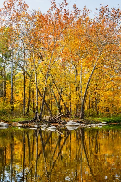Odráží nádheru podzimu — Stock fotografie