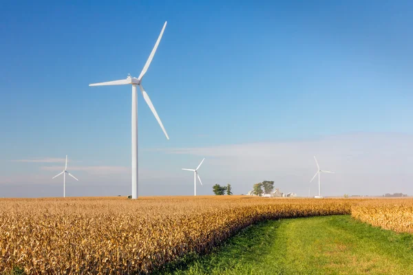 Windturbines in Cornfield — Stockfoto