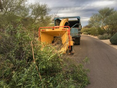 Kaldırmak ve chainsaw çekmek için pek mutlu makinasıyla landscapers ağaç dalları