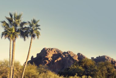 Camelback Mountain, Phoenix, Az