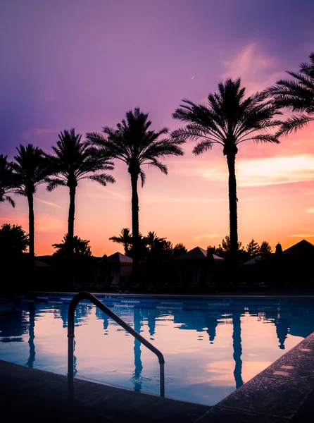 Pôr do sol sobre a piscina com palmeiras em silhueta contra o céu sereno bela noite verões . — Fotografia de Stock