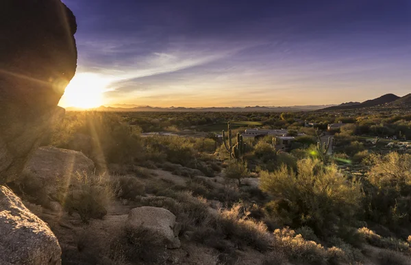 Gün batımı kaktüs manzara, Arizona, ABD çöl