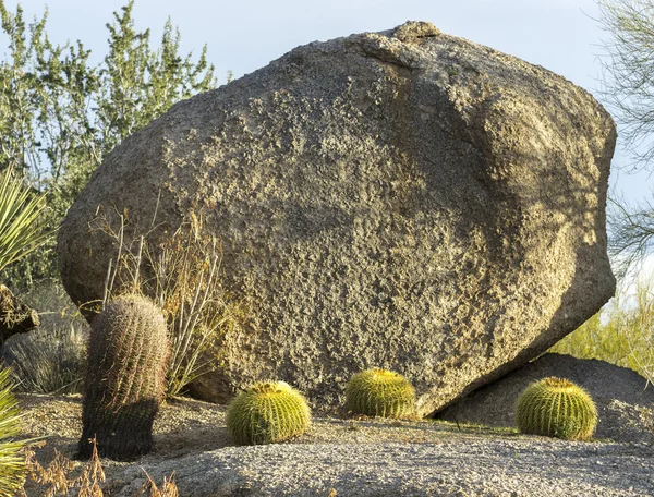 Piedra de roca — Foto de Stock