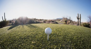 Tee off - golf ball - extreme wide angle view from from above. Fisheye lens effect. clipart