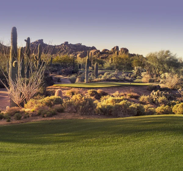 Eautiful desert tee shot golf course - image cross processed — Stock Photo, Image