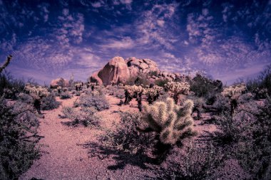 Desert trail zammı Scottsdale Arizona alanında