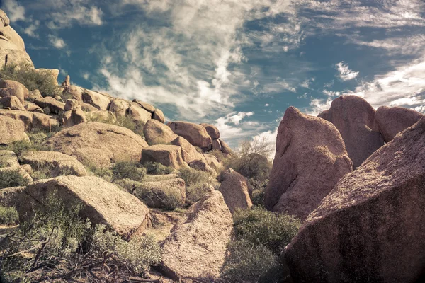 在亚利桑那州斯科茨代尔地区徒步沙漠足迹 — 图库照片