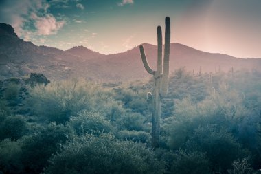 Arizona desert mountain landscape clipart