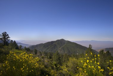 San Bernardino Ulusal Ormanı, Ca, ABD büyük ayı Gölü yakınındaki