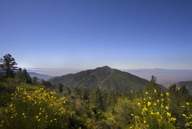 San Bernardino National Forest, Ca,USA near Big Bear Lake clipart