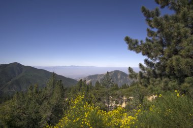 San Bernardino Ulusal Ormanı, Ca, ABD büyük ayı Gölü yakınındaki