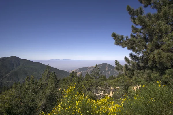 San Bernardino National Forest, Ca, Usa poblíž velké medvědí jezero — Stock fotografie