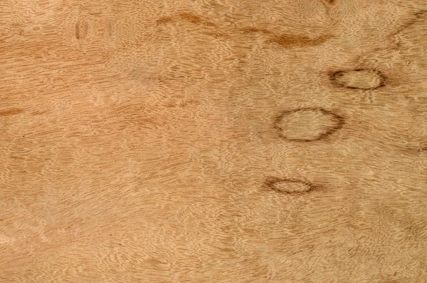 Текстура древесного зерна, экзотический фон шпона — стоковое фото